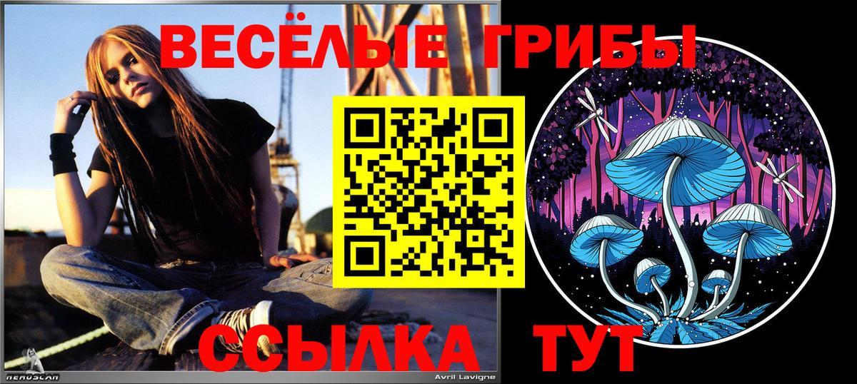 Псилоцибиновые грибы Magic Shrooms  Псилоцибиновые грибы мицелий  Красноярск 