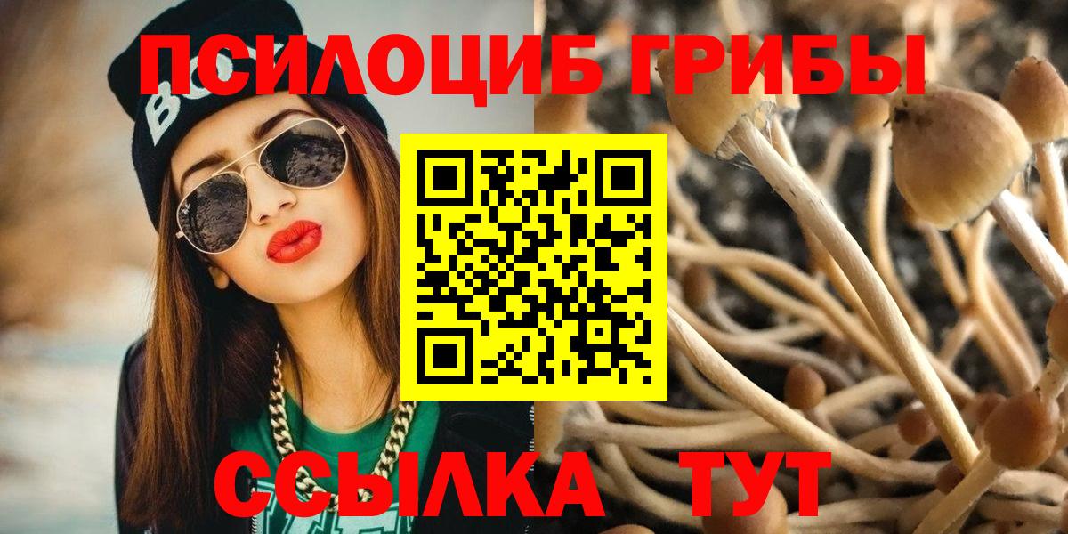 Красноярск  Псилоцибиновые грибы мухоморы  Вход с VPN  Галлюциногенные грибы мухоморы 
