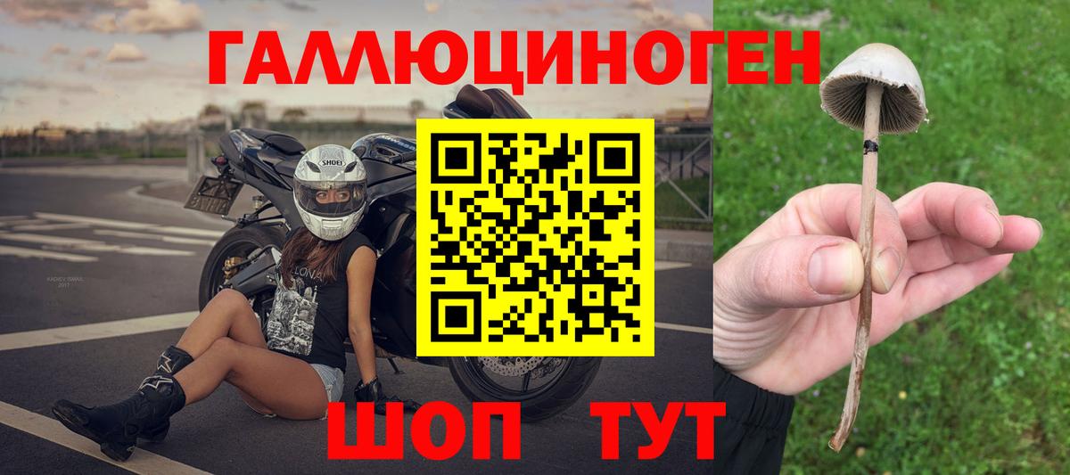 Псилоцибиновые грибы мицелий Красноярск